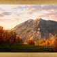 Timpanogos Autumn