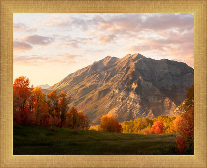 Timpanogos Autumn