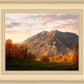 Timpanogos Autumn