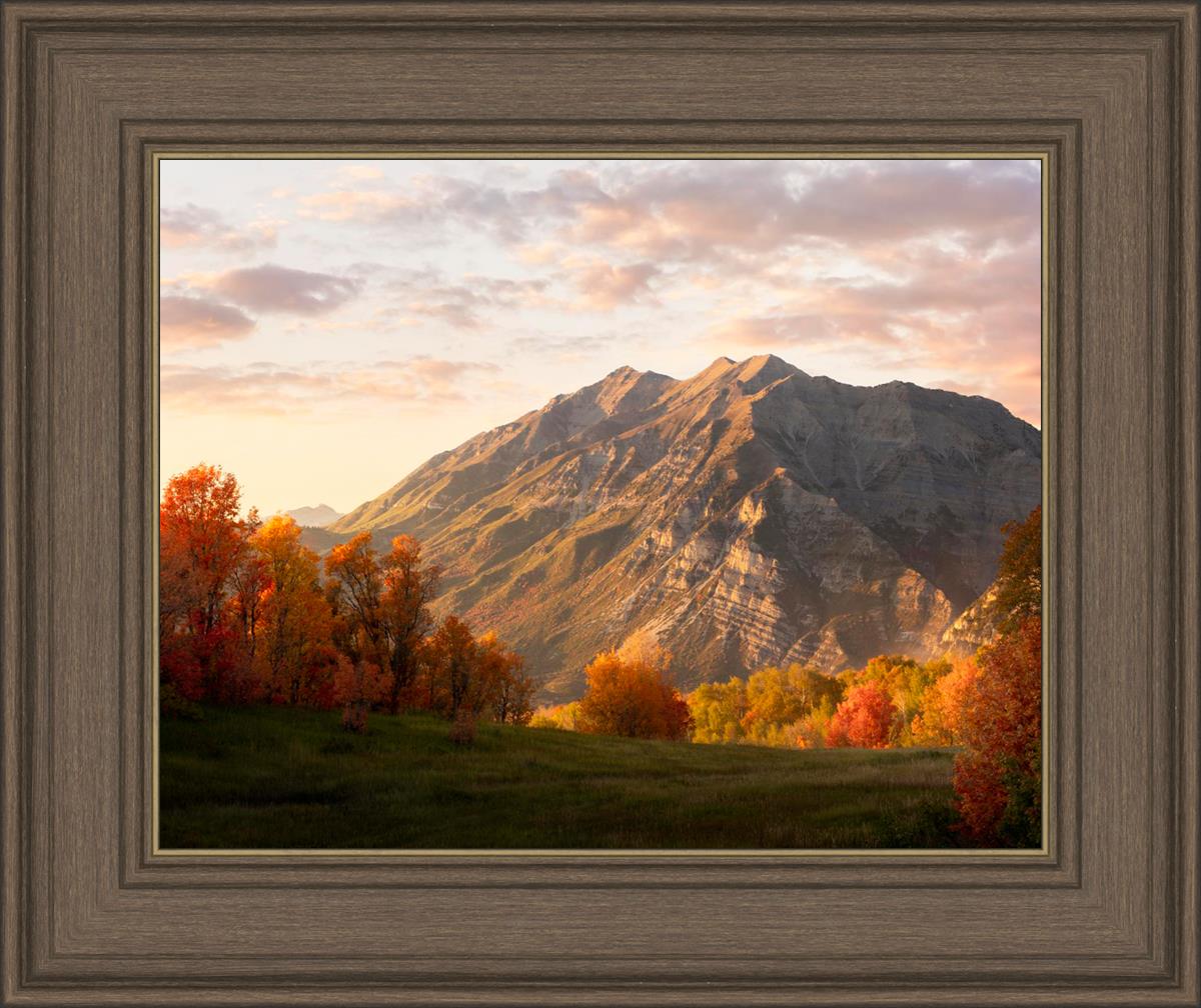 Timpanogos Autumn