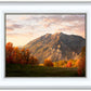 Timpanogos Autumn