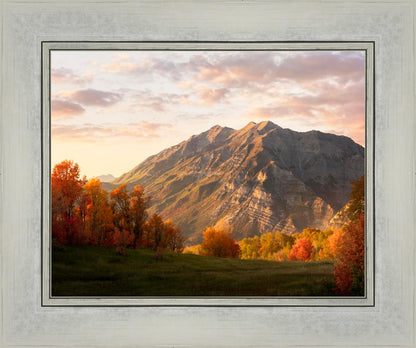 Timpanogos Autumn