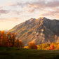 Timpanogos Autumn