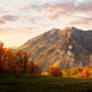 Timpanogos Autumn