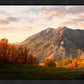 Timpanogos Autumn