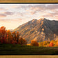 Timpanogos Autumn
