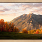 Timpanogos Autumn