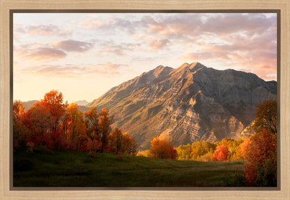 Timpanogos Autumn