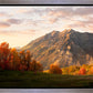 Timpanogos Autumn