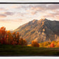 Timpanogos Autumn