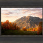 Timpanogos Autumn