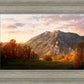 Timpanogos Autumn