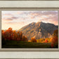 Timpanogos Autumn