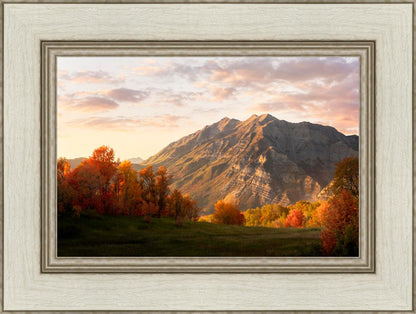Timpanogos Autumn