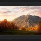 Timpanogos Autumn