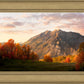 Timpanogos Autumn