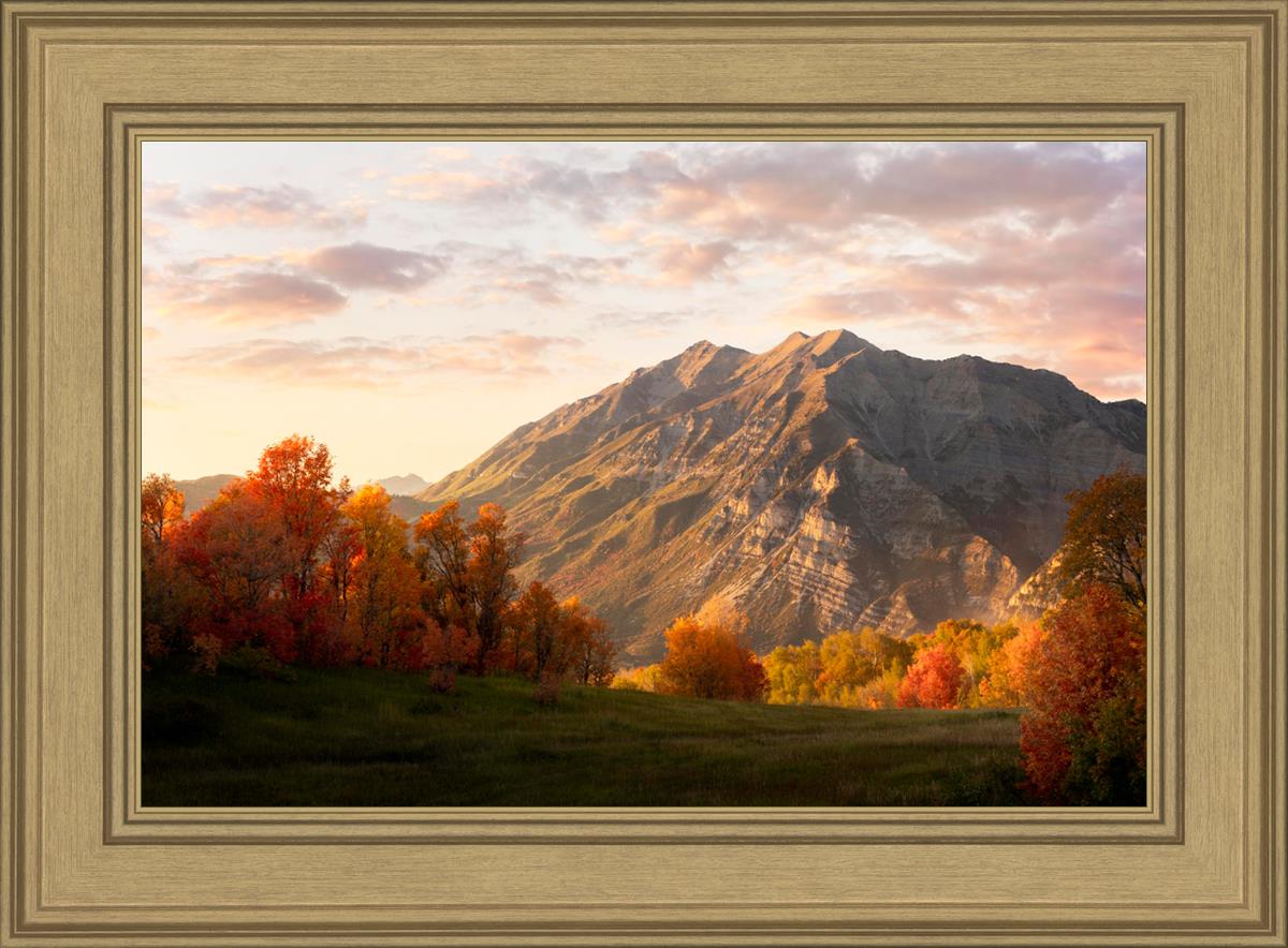 Timpanogos Autumn