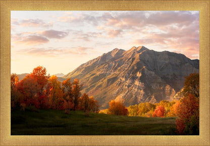 Timpanogos Autumn