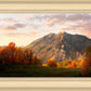Timpanogos Autumn