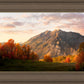 Timpanogos Autumn