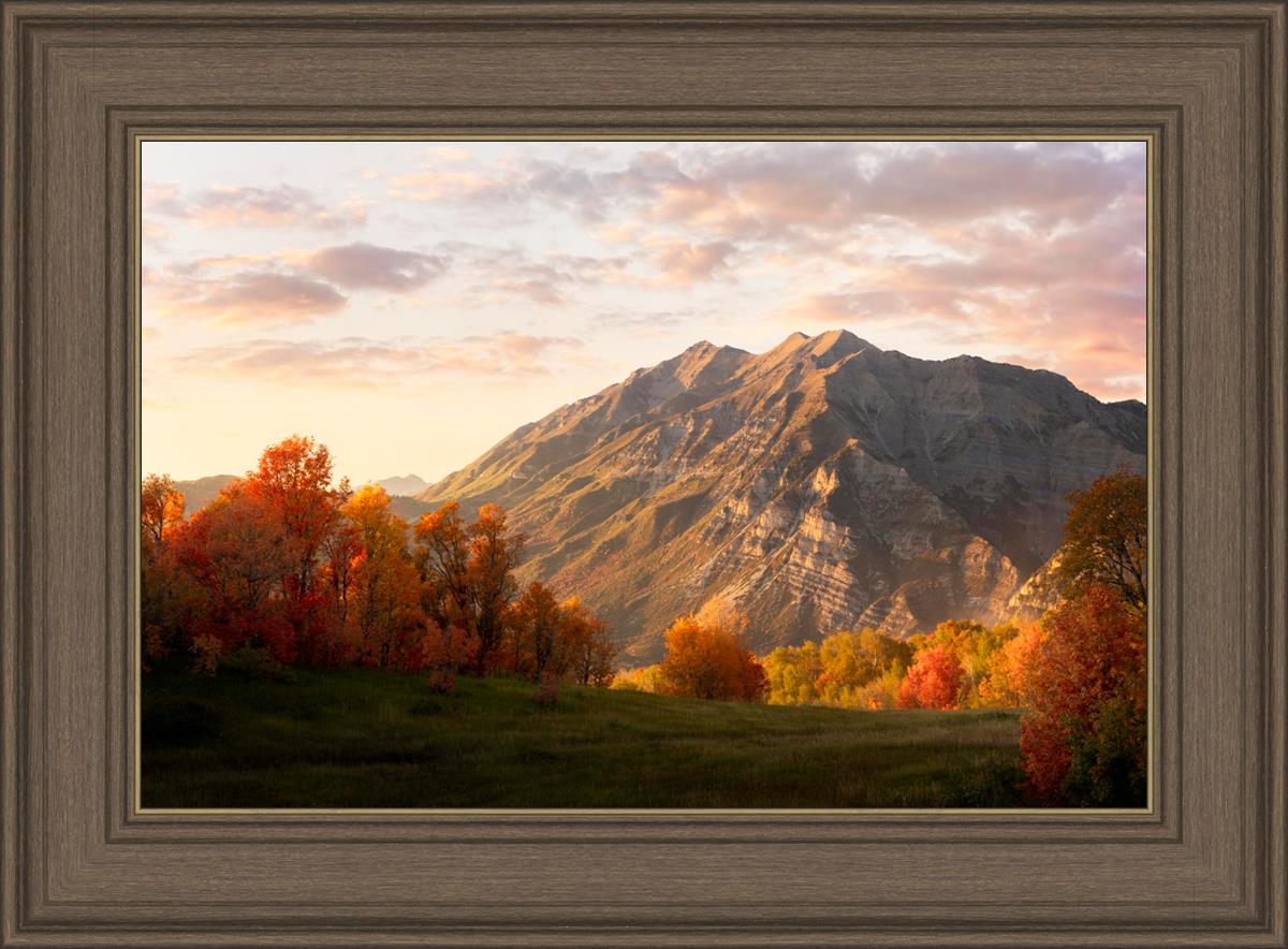 Timpanogos Autumn