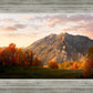 Timpanogos Autumn