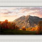 Timpanogos Autumn