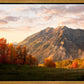 Timpanogos Autumn
