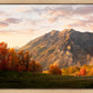 Timpanogos Autumn