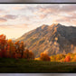 Timpanogos Autumn