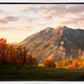 Timpanogos Autumn