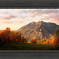 Timpanogos Autumn