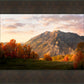 Timpanogos Autumn