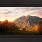 Timpanogos Autumn