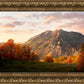 Timpanogos Autumn