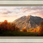 Timpanogos Autumn
