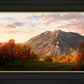 Timpanogos Autumn
