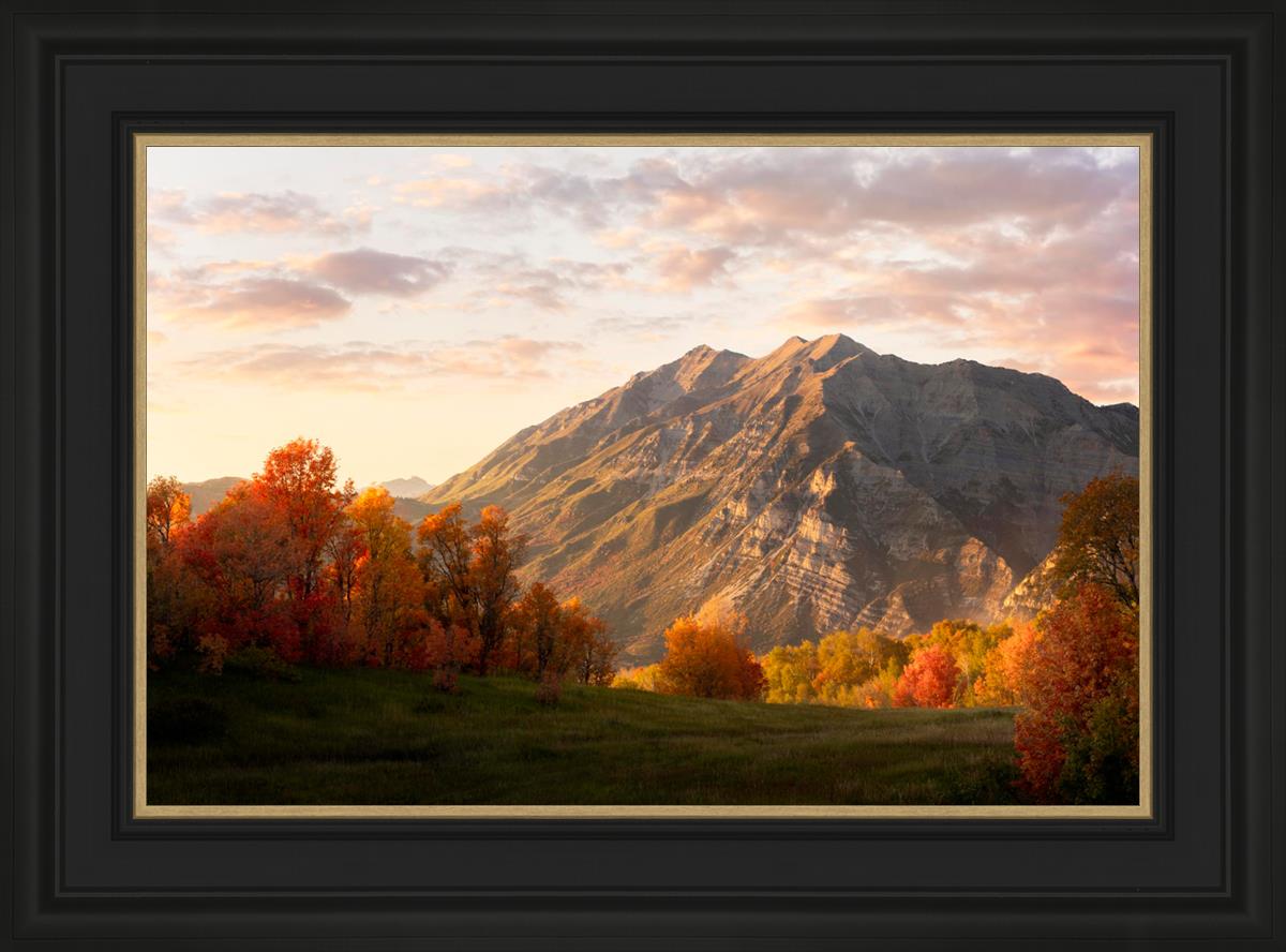 Timpanogos Autumn