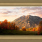 Timpanogos Autumn