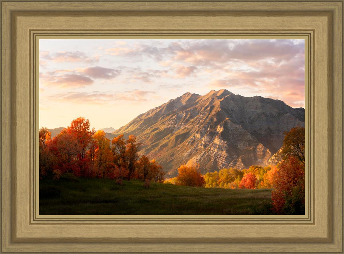 Timpanogos Autumn
