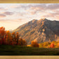 Timpanogos Autumn