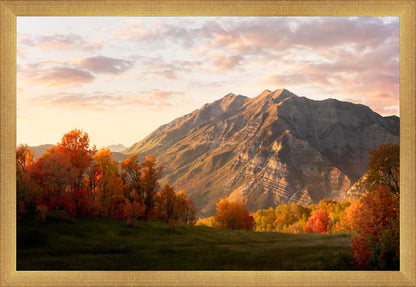 Timpanogos Autumn