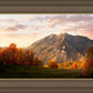 Timpanogos Autumn