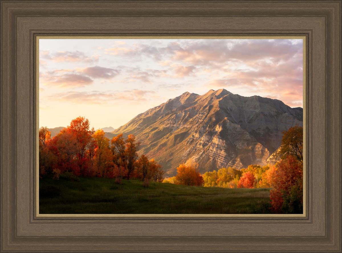 Timpanogos Autumn