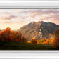 Timpanogos Autumn