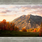 Timpanogos Autumn