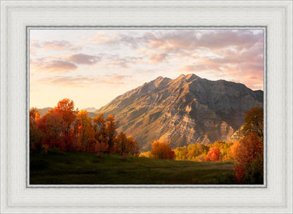 Timpanogos Autumn