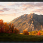 Timpanogos Autumn