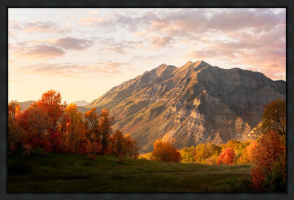 Timpanogos Autumn
