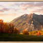 Timpanogos Autumn